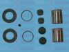 AUTOFREN SEINSA D42366C Repair Kit, brake caliper